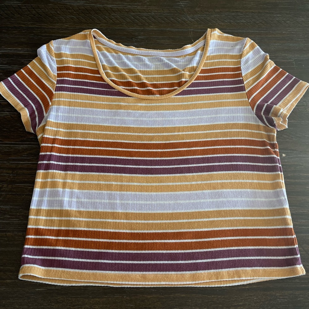 American Eagle Crop Top